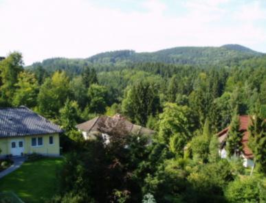 Ferienhotel Waldfrieden Bad Sachsa Bagian luar foto