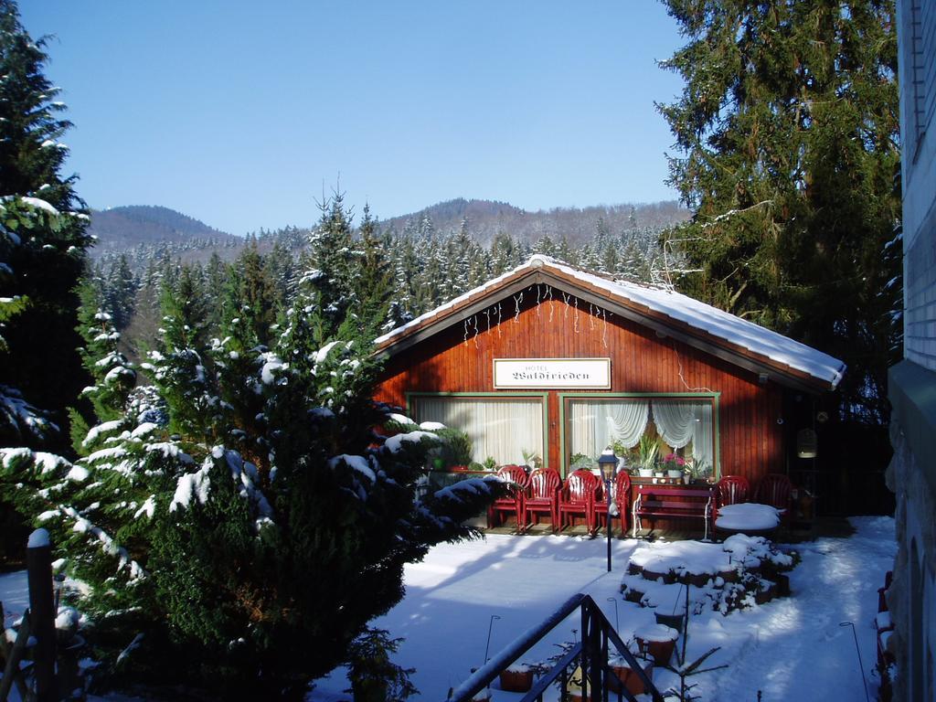 Ferienhotel Waldfrieden Bad Sachsa Bagian luar foto