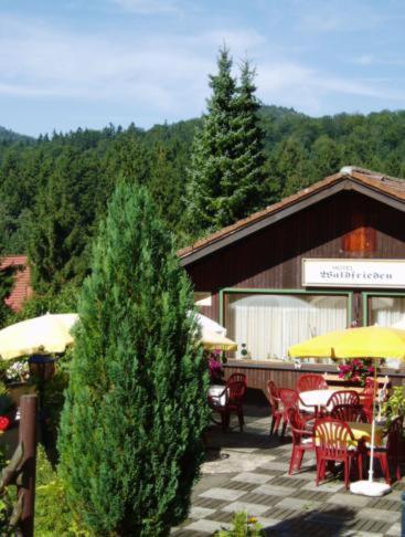 Ferienhotel Waldfrieden Bad Sachsa Bagian luar foto