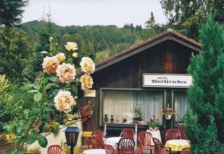 Ferienhotel Waldfrieden Bad Sachsa Bagian luar foto